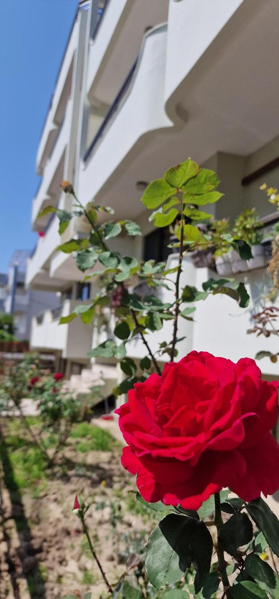Apartment Center Luxury Spacious A&m Rhodes City